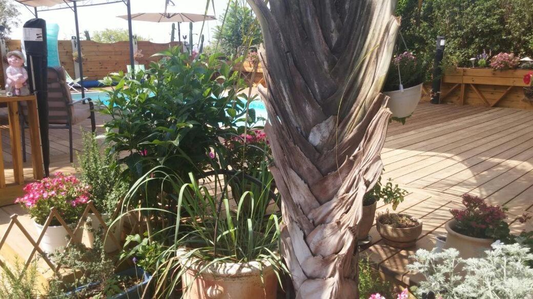 צימר בגליל אביב בבקתה Buitenkant foto